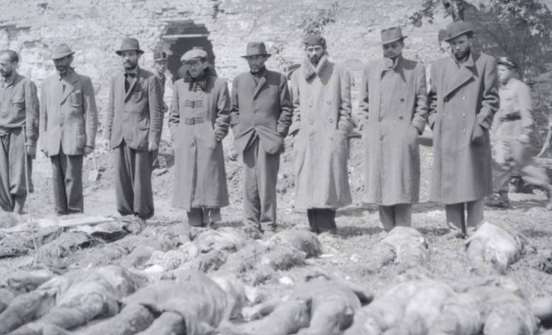 Képernyőkép 2026-01-07 145303.jpg